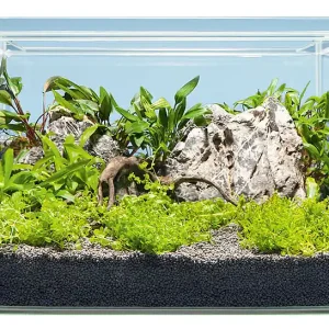 Hardscape Bepflanzung ASIA Meistverkauft