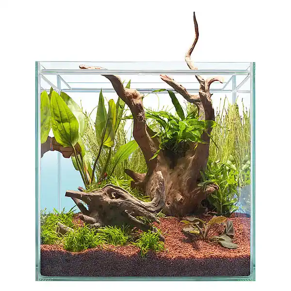 Billig Hardscape Bepflanzung SOUTH AMERICA