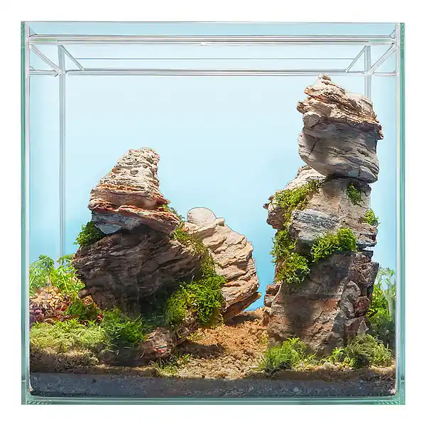 Hardscape Bepflanzung GRAND CANYON Markenprodukt