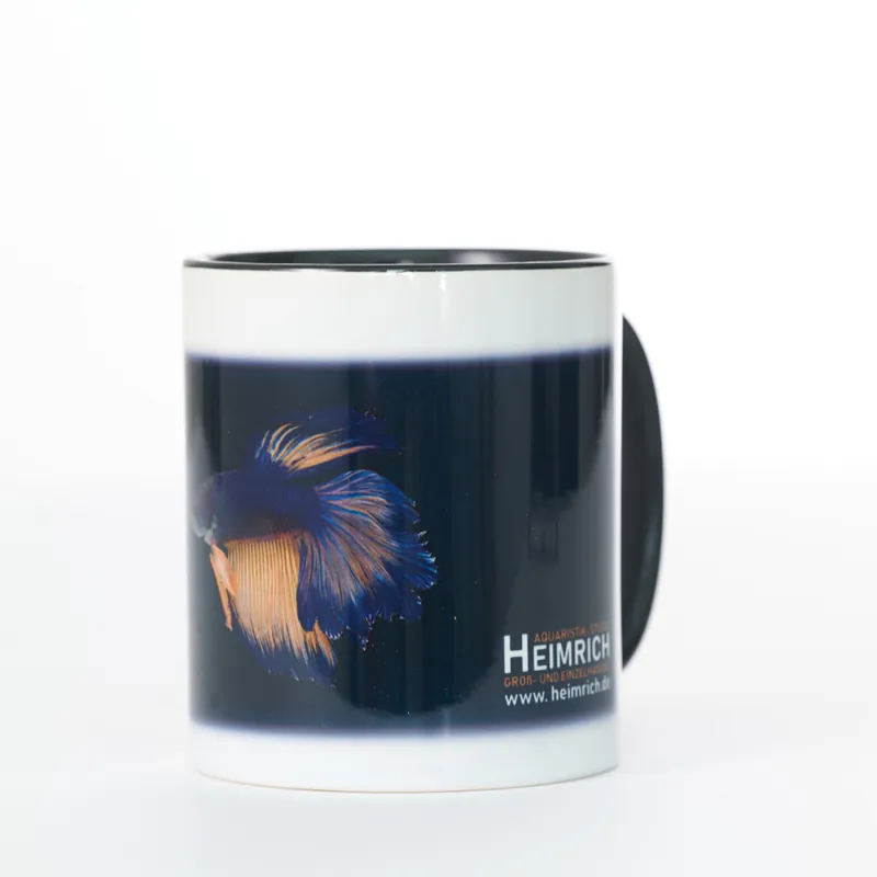 Foto-Tasse - Kampffisch Halfmoon Rosetail Blue Preis Gesenkt