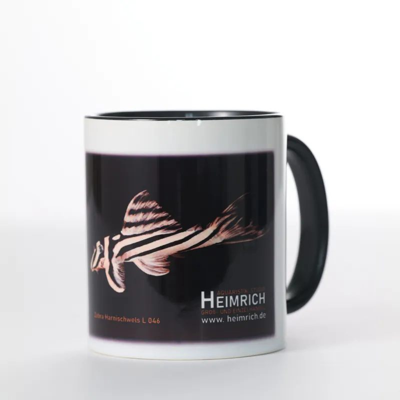 Foto-Tasse - L46 Hypancistrus zebra Neu