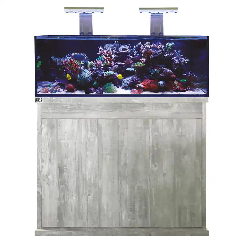 D-D Reef-Pro 1200 Driftwood Concrete Sofort Bestellen