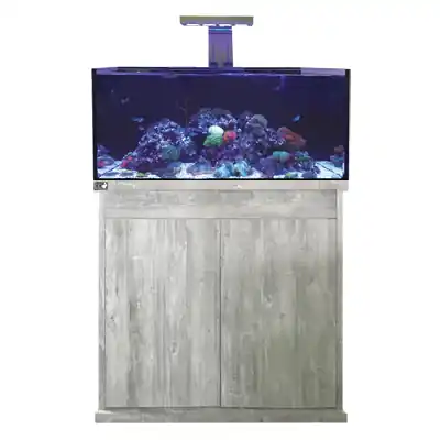 Echt D-D Reef-Pro 900 Driftwood Concrete