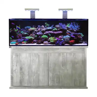 D-D Reef-Pro 1500 Driftwood Concrete Knallerangebot