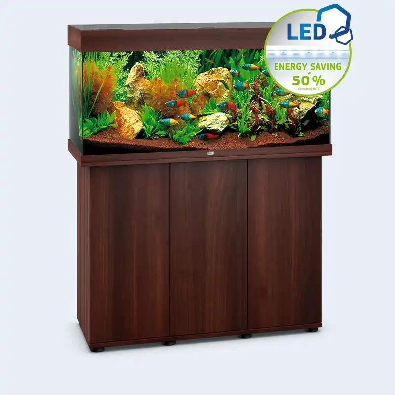Expressversand RIO 180 LED, mit Unterschrank