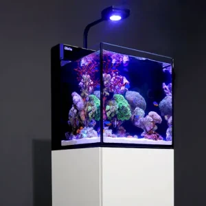 Red Sea REEER Systeme Geprüft
