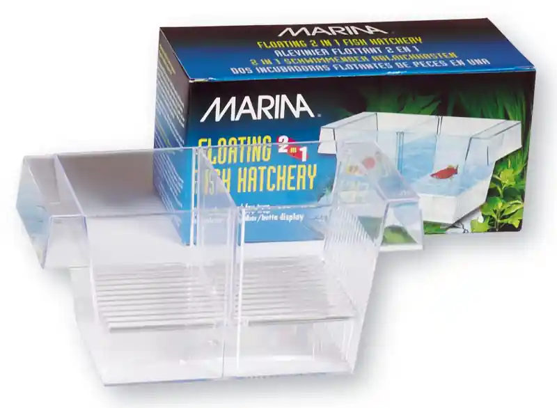 Expressversand Marina Ablaichkasten 2 in 1 Aufzuchtbehälter
