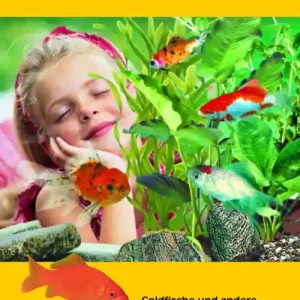 sera Ratgeber das Goldfischaquarium Nur Für Kurze Zeit