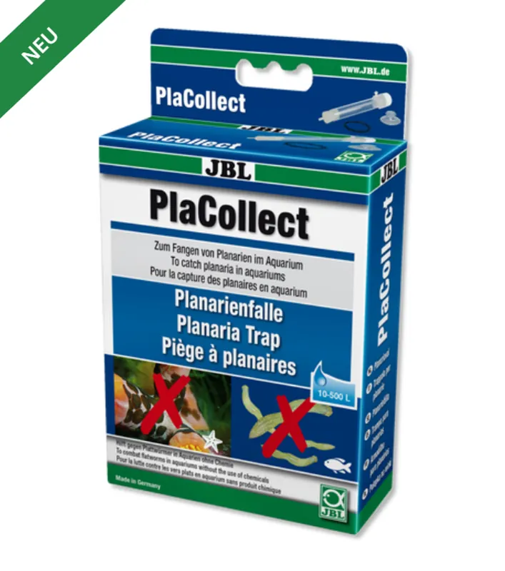 JBL PlaCollect -Planarienfalle gegen Plattwürmer- Billig