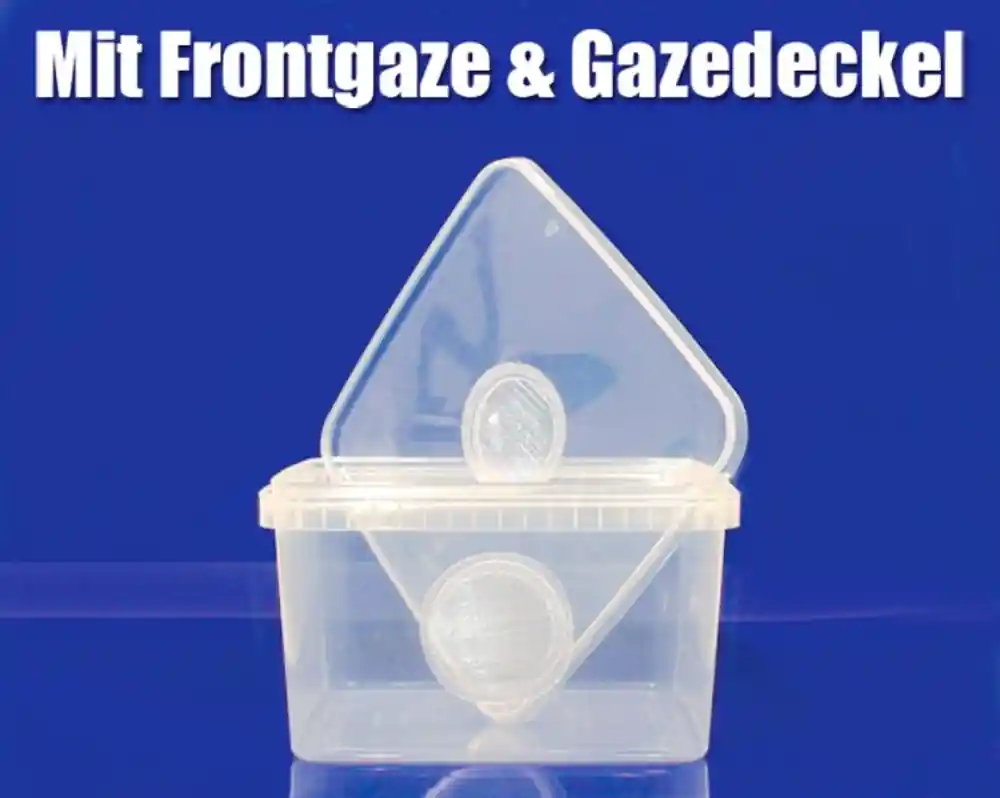 Zucht-Box 19,5 x 19,5 x 11 cm 3 Liter mit Gazedeckel & Frontgaze Preiswert