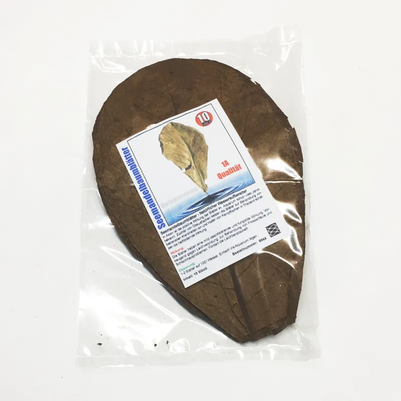 Bestseller Seemandelbaumblätter 10 St. 1A Qualität