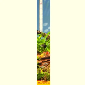 Sonderaktion sera LED X-Change Tube daylight sunrise 820 mm