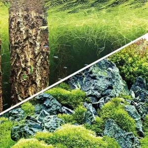 Rückwand Folie Unterwasserwald / Iwagumi Berglandschaft 60 x 30 cm Preis Gesenkt