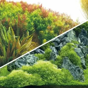 Rückwand Folie Pflanzenweg / Felslandschaft 60 x 30 cm Markenprodukt