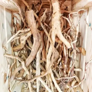 Rabatt Fingerwurzelbruch, rote Moorwurzeln 5mm