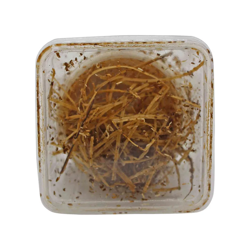 Zertifiziert Drosophila 0,5L Dose
