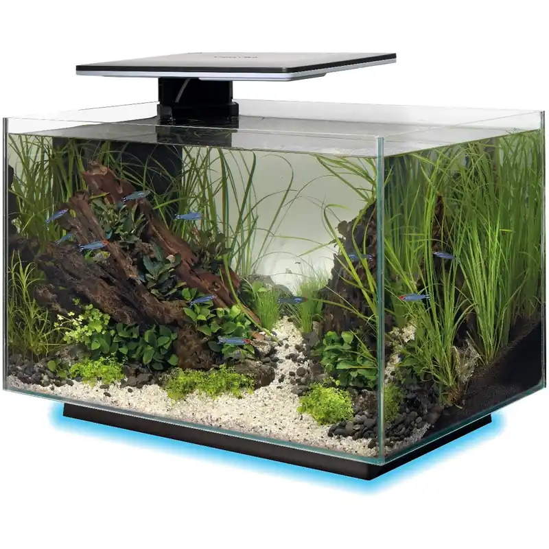 Quadro Aquarium Komplettsets 40 - 70L Schwarz Jetzt Bestellen