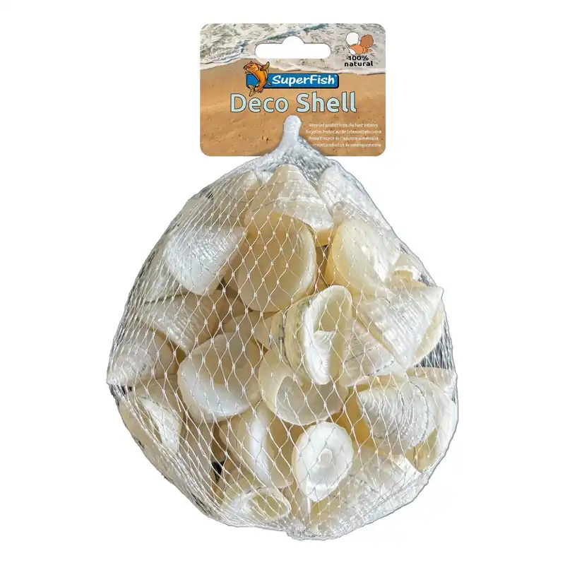 Letzte Chance Muschel Spirale weiss 200 Gramm