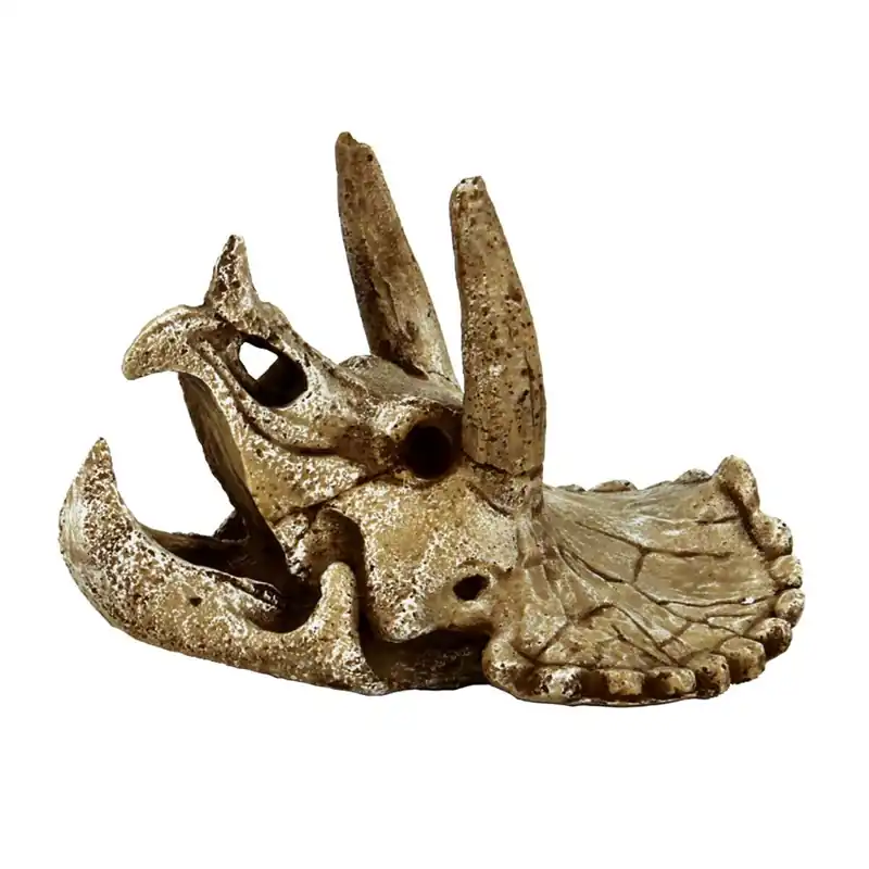 Highlight Deko Schädel Triceraptos M