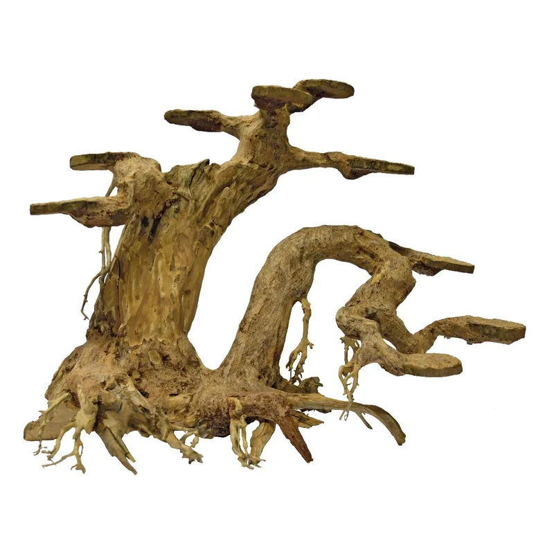 Billig Bonsai Miniaturbaum Planter 15 - 25cm S ca. 23x12x15cm