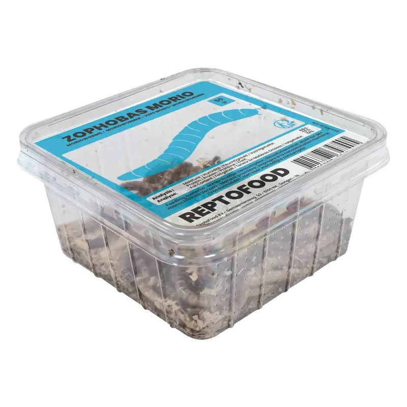 Sonderangebot Moriowürmer (Schwarzkäfer) - Zophobas Morio 50 Gramm