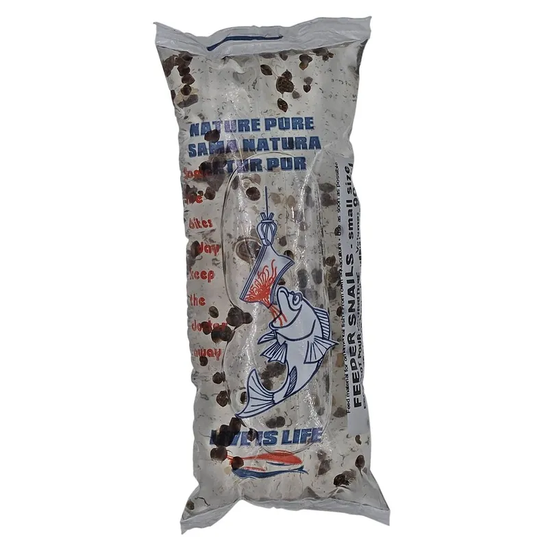 Futterschnecken Blasen-Schnecken lebende 90ml (Physella acuta) Zertifiziert