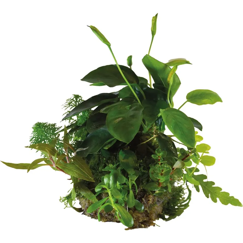 BioArt In Vitro Flaschengarten Zubehör Substrat Naturgelber Kies Neuheit