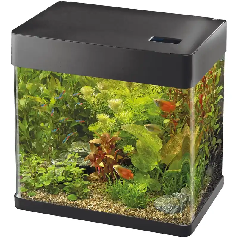 Nur Heute Panorama Aquarium Komplettset mit gebogenem Panoramaglas Panorama 20 schwarz (17L 32x20x32cm)