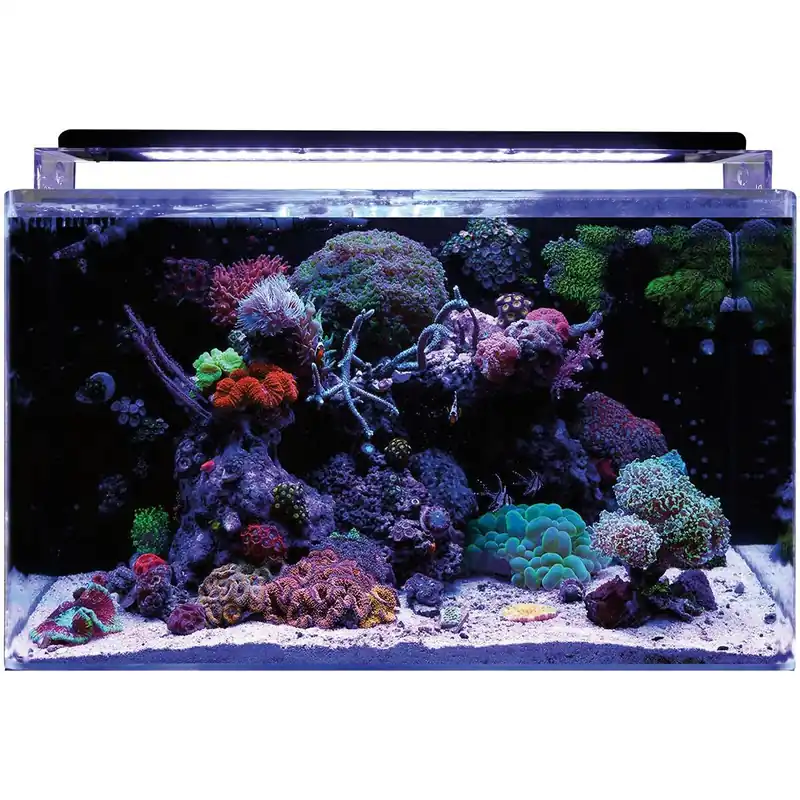 Kracherpreis Blue Marine Riff Start - günstiges Meerwasser Aquarium Set 60 - 160 L 60 35x45x40cm - 63L
