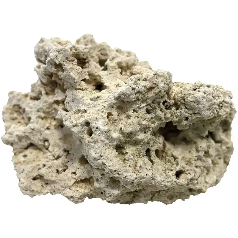 Billig Dry Reef Rock Aragonitgestein alte Korallenriffe 20kg Klein 9-12 cm