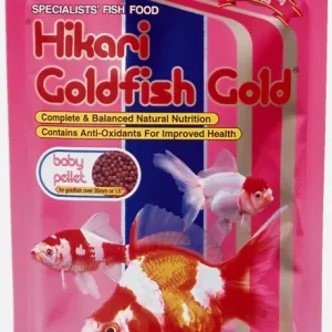 Hikari Goldfisch Baby Gold Futter - für schöne Farben mit Astaxanthin Billig