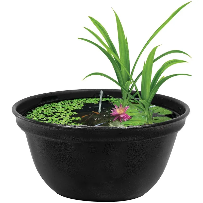 Geprüft Medaka Bowl 420-600 Mini-Teich für japanische Reisfische Bowl 420 42x20cm - 16 Liter
