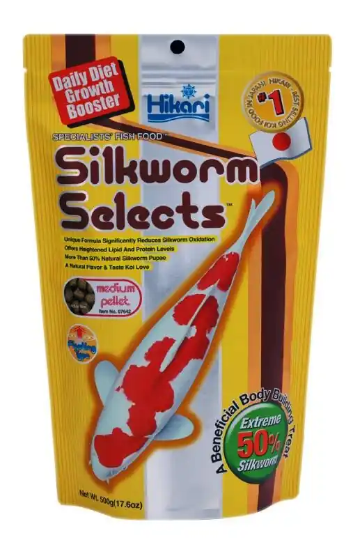 Hikari Silkworm Selects mit Seidenraupen Garantierte Lieferung