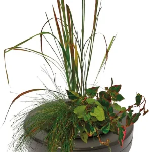 Schwimmender Pflanzenkorb Teich-Korb insel Pflanzenkorb rund 22cm Begrenztes Angebot