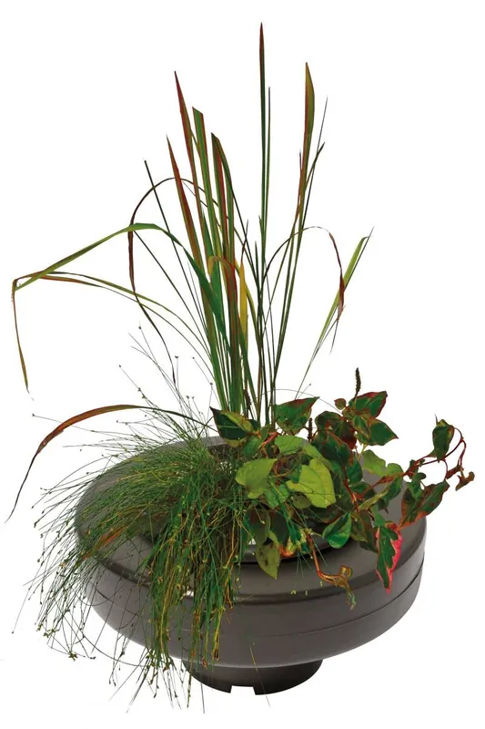 Schwimmender Pflanzenkorb Teich-Korb insel Pflanzenkorb rund 22cm Begrenztes Angebot