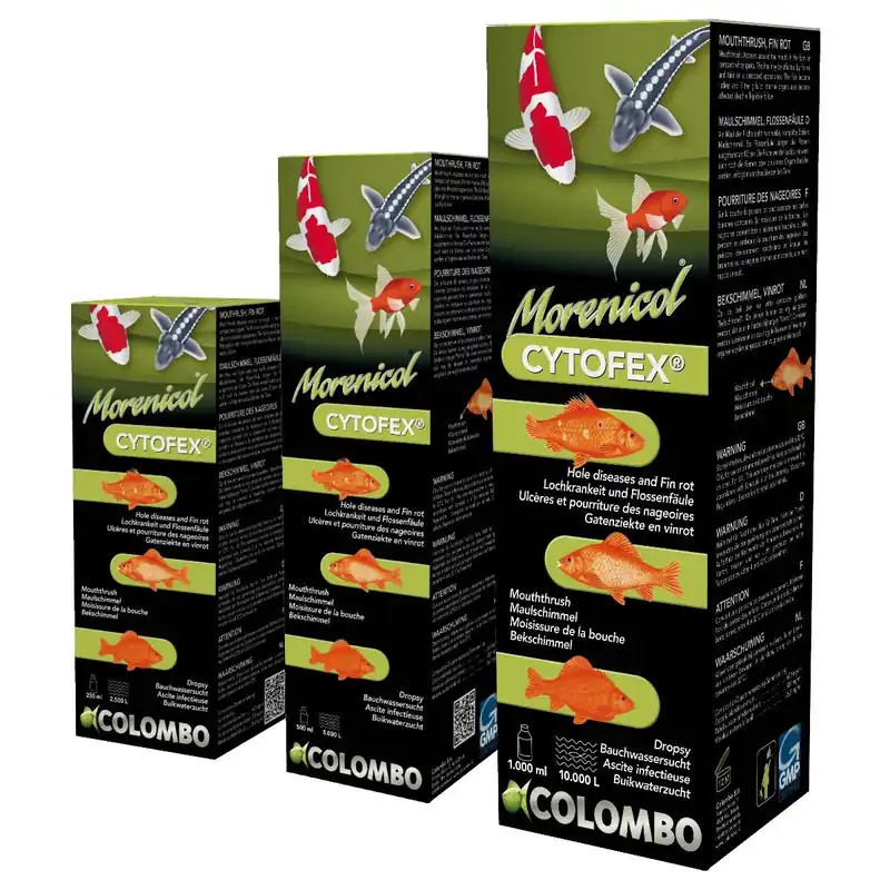 Cytofex - Wirksam gegen Lochkrankeit Flossenfäule Maulschimmel Bauchwassersucht Cytofex 250ml für 2.500L Jetzt Bestellen