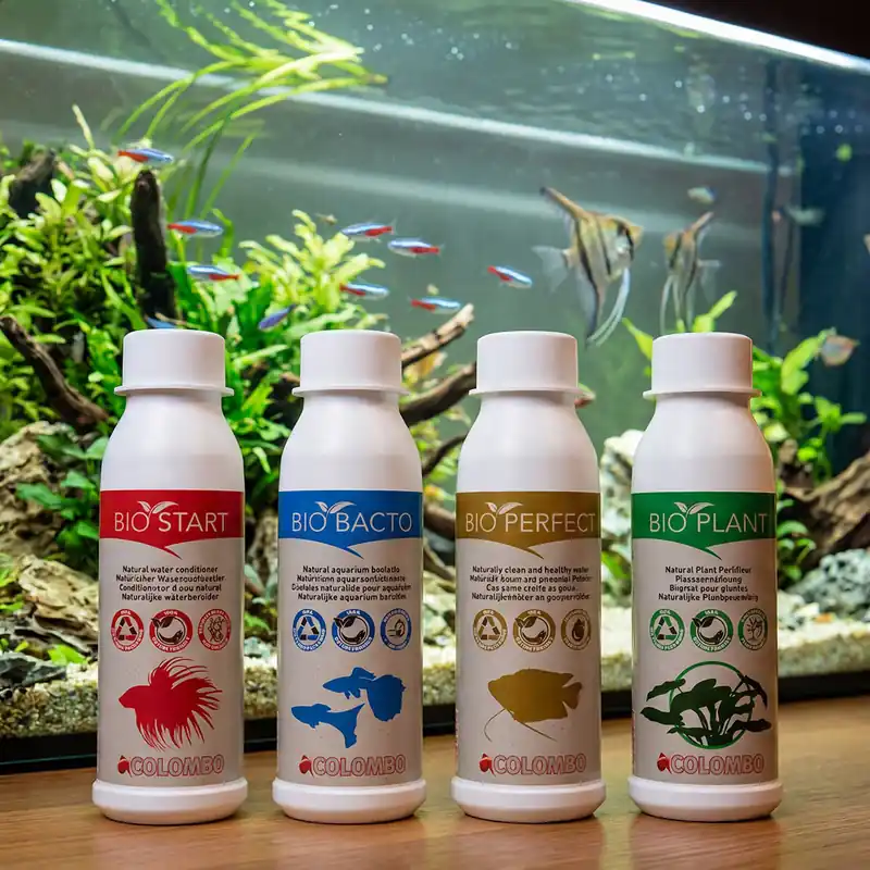 Expressversand Natura Aqua Bio - Start Bacto Perfect Plant - Für ein umweltfreundliches Aquarium Bio Start