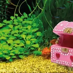 Letzte Chance S - 9.2 x 6.4 x 13.5 cm