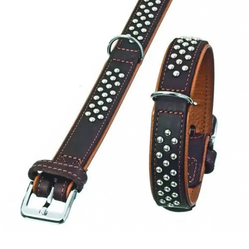 Sonderaktion Karlie Rondo Halsband mit Rundkopfnieten - braun 22mm. 37cm
