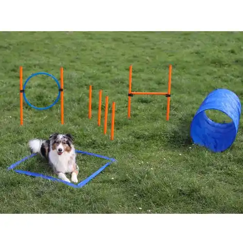 Wochenendangebot Dog Agility Starter Set X