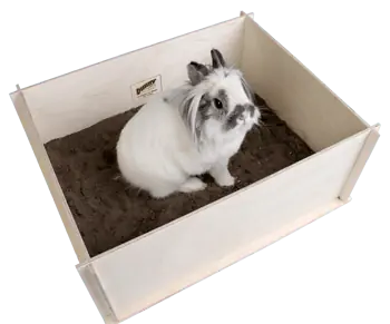 Bunny Buddelkiste Neu Im Sortiment