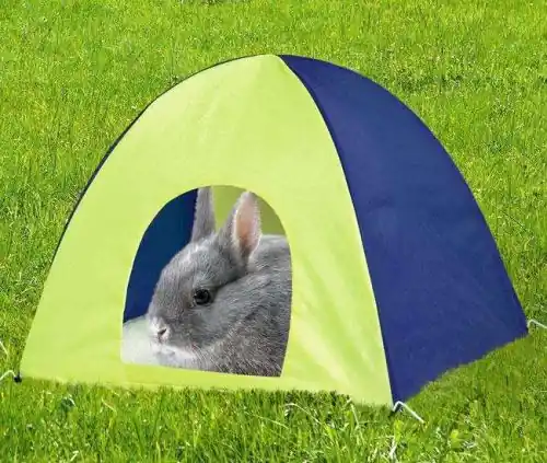 Karlie RODY CAMP In- und Outdoor-Zelt - 38 cm Sale