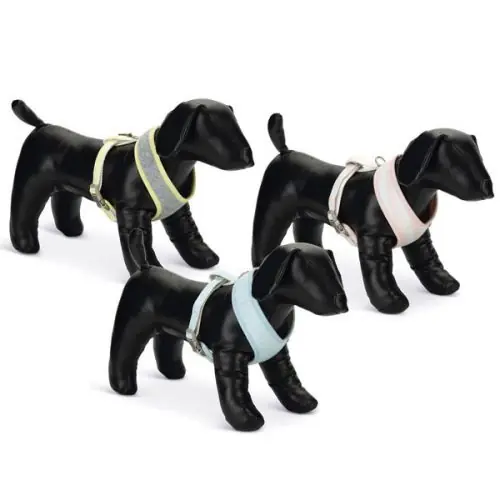 Preis Gesenkt Beeztees Puppy Welpengeschirr S / grau-gelb