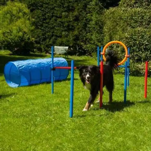 Dog Agility Set K2 PRO Preisreduziert