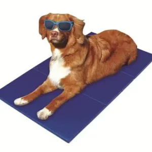 Pet-Star Kühlmatte 65 x 50 cm Abverkauf