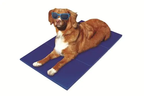 Pet-Star Kühlmatte 65 x 50 cm Abverkauf