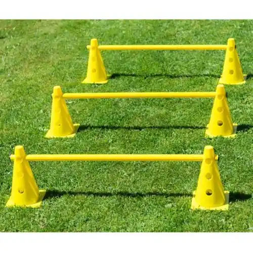 PROCYON Dog Agility Mini Pylonen-Hürden, 3 St. Preis Gesenkt