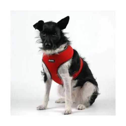 Pet-Star Softgeschirr / Netzgeschirr - Rot XL Must-Have