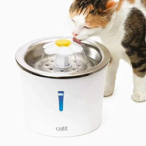 Catit Blumentrinkbrunnen mit Edelstahleinsatz Aktuell