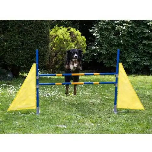 PROCYON Dog Agility Profi Hürde Must-Have